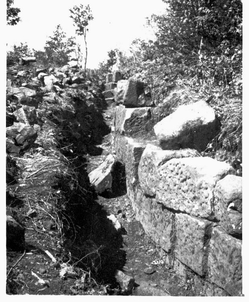 Excavations Ranaldi 1956-1965