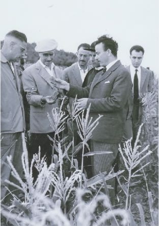 Excavations Ranaldi 1956-1965