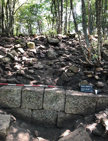 Section B: face and filling